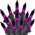 Halloween String Lights Outdoor 100 Count 20 Feet Incandescent Bulb in Purple