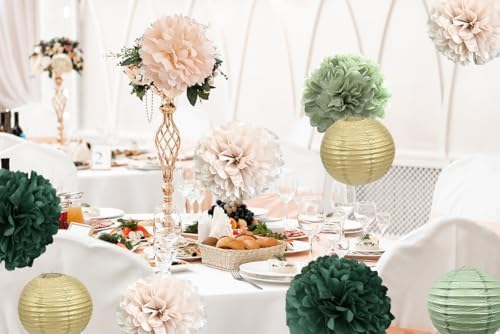 Hanging Party Decorations - Tissue Paper pom poms and Lanterns Backdrop Decor for Engagement Wedding Birthday, alternate view