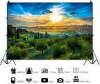 Jerusalem Backdrop Sunset Cityscape View of Old City 10x8ft in 10x8ft, alternate view 3