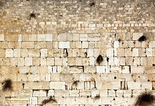 Jerusalem Wailing Wall Backdrop Israel Banner 8x6ft in 8x6ft, alternate view 2