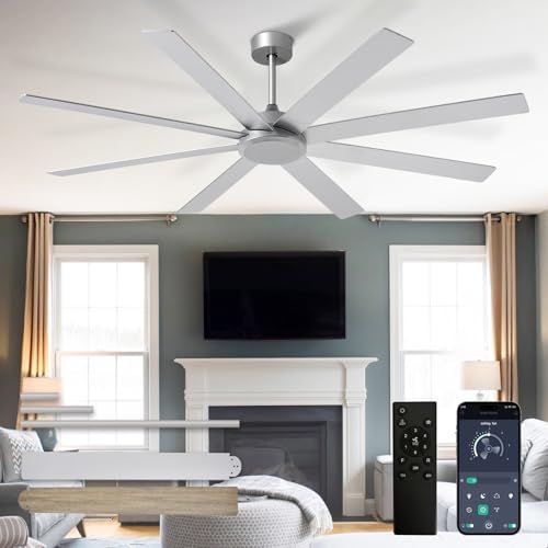 Large Ceiling Fan without Light: 66 Inch Indoor/Outdoor Fan Reversible DC Motor 6 Speed - Dual 8 Blades Big