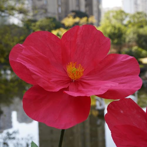 Large Paper Artificial Flowers, for Decoration, Huge Handcrafted Poppy Fake Flowers with Stand for Home Decor, alternate view