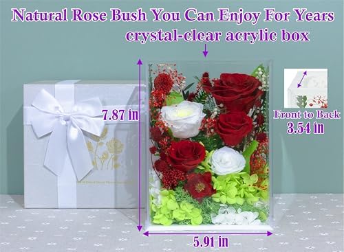 Long-Lasting Real Flowers - Handmade Rose Bush Gift For You To Send Love, alternate view 2