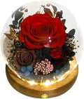Long-Lasting Real Flowers - Unique Floral Gift For You To Send Love