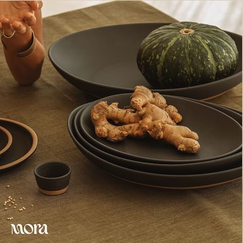 Mega and Giant Serving Dishes Set of 2, 16 inch and 14 inch Ceramic Pottery Oval Platters - Microwave, Oven and, alternate