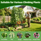 Metal Tall Garden Trellis for Climbing Plants Outdoor 2 Pack 82"x27" in Green, alternate view 6
