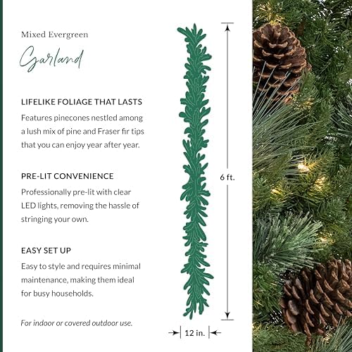 Mixed Evergreen Christmas Garland - Traditional Greenery Garland with Battery-Operated LED Clear Lights, alternate view 4
