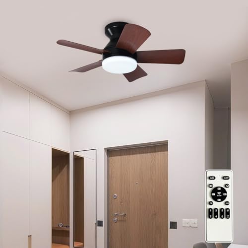 Modern Ceiling Fan with Light: 25-Inch Black Small Fans for Bedroom Indoor Outdoor - Dimmable Low Profile