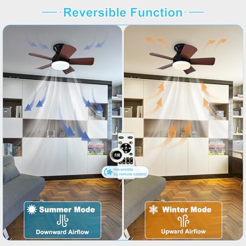 Modern Ceiling Fan with Light: 25-Inch Black Small Fans for Bedroom Indoor Outdoor - Dimmable Low Profile, alternate view 3