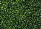 Nature Spring Green Leaves Theme Photo Background Wedding Birthday Party Newborn Baby Shower Photography, alternate view 7