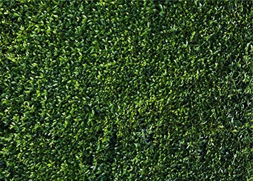Nature Spring Green Leaves Theme Photo Background Wedding Birthday Party Newborn Baby Shower Photography, alternate view 7