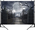 Night Full Moon Backdrop Gloomy Woods Graveyard Photography Background Horrible Cemetery Spooky Party Banner