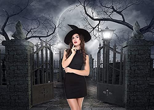 Night Full Moon Backdrop Gloomy Woods Graveyard Photography Background Horrible Cemetery Spooky Party Banner, alternate view