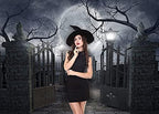 Night Full Moon Backdrop Gloomy Woods Graveyard Photography Background Horrible Cemetery Spooky Party Banner, alternate view
