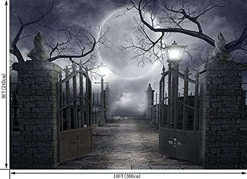 Night Full Moon Backdrop Gloomy Woods Graveyard Photography Background Horrible Cemetery Spooky Party Banner, alternate view