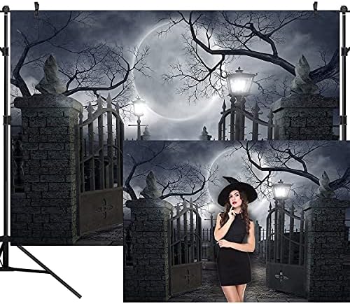 Night Full Moon Backdrop Gloomy Woods Graveyard Photography Background Horrible Cemetery Spooky Party Banner, alternate view