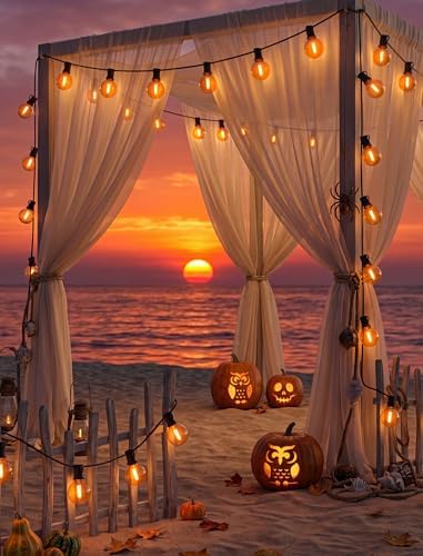 Orange String Lights, 25Ft G40 Outdoor Decorations Lights with 27 LED Shatterproof Orange Globe Bulbs, Hanging, alternate