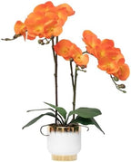 Orchids Artificial Flowers Real Touch Fake Flowers in Ceramic Pot 20" Orange Faux Orchid Plant Lifelike Silk