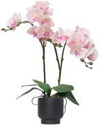 Orchids Artificial Flowers Real Touch Fake Flowers in Ceramic Pot 20" Pink Faux Orchid Plant Lifelike Silk