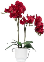 Orchids Artificial Flowers Real Touch Fake Flowers in Ceramic Pot 20" Red Faux Orchid Plant Lifelike Silk