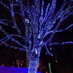Outdoor Christmas String Lights, 1000 LED 328 FT Plug in Fairy Light with Remote Control 8 Modes & Timer, alternate view 3