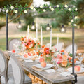 Over The Table Rod Stand with Clamps for Party Decoration Black