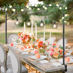 Over The Table Rod Stand with Clamps for Party Decoration Black