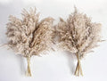 Pampas Grass Decor, Natural Dry Pampas Grass Small, Short Pampass Bulk for Farmhouse, Wall, Kitchen, Bedroom