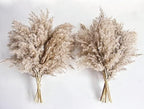 Pampas Grass Decor, Natural Dry Pampas Grass Small, Short Pampass Bulk for Farmhouse, Wall, Kitchen, Bedroom