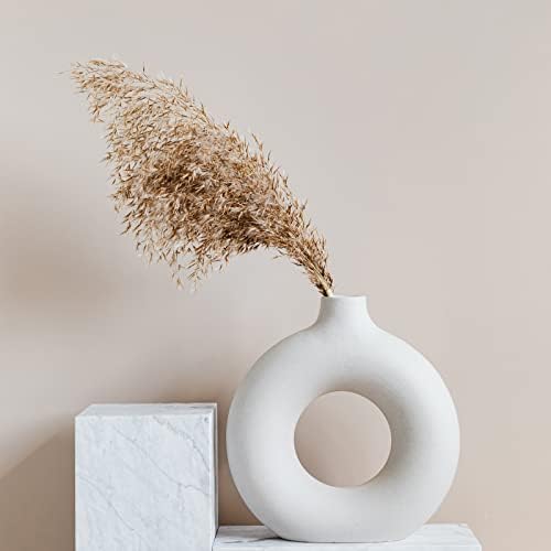 Pampas Grass Decor, Natural Dry Pampas Grass Small, Short Pampass Bulk for Farmhouse, Wall, Kitchen, Bedroom, alternate view