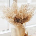Pampas Grass Decor, Natural Dry Pampas Grass Small, Short Pampass Bulk for Farmhouse, Wall, Kitchen, Bedroom, alternate view