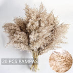 Pampas Grass Decor, Natural Dry Pampas Grass Small, Short Pampass Bulk for Farmhouse, Wall, Kitchen, Bedroom, alternate view