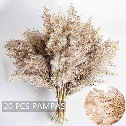 Pampas Grass Decor, Natural Dry Pampas Grass Small, Short Pampass Bulk for Farmhouse, Wall, Kitchen, Bedroom, alternate view