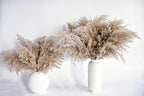 Pampas Grass Decor, Natural Dry Pampas Grass Small, Short Pampass Bulk for Farmhouse, Wall, Kitchen, Bedroom, alternate view