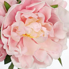 Pink Peonies Artificial Flowers with Glass Vase Medium 7.8inch Faux Peonies Look Real Peony Fake Flowers Silk, alternate view