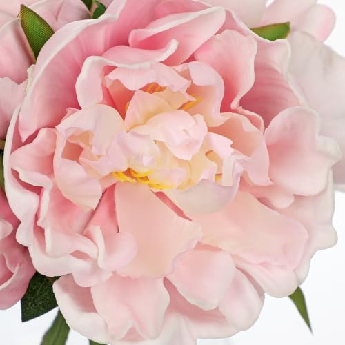 Pink Peonies Artificial Flowers with Glass Vase Medium 7.8inch Faux Peonies Look Real Peony Fake Flowers Silk, alternate view