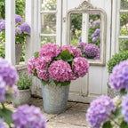 Pink Rose Red Hydrangea Artificial Flowers, Faux Hydrangea Flowers Outdoors, 21in Real Touch Latex Faux, alternate view 6