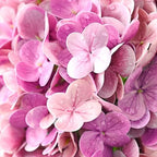 Pink Rose Red Hydrangea Artificial Flowers, Faux Hydrangea Flowers Outdoors, 21in Real Touch Latex Faux, alternate view 7