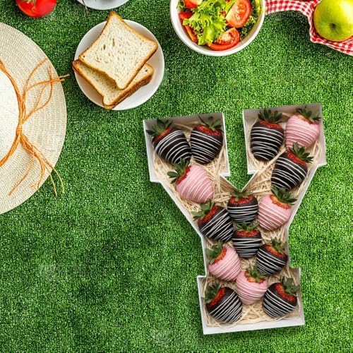 Plastic Fillable Letter Charcuterie Box, 10in Reusable Alphabet Shaped Tray for Birthday Anniversaries, Party, alternate view
