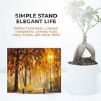 Plate Stands for Display - 3 Inch Plate Holder Display Stand + Metal Frame Holder Stand for Picture, Decorative, alternate