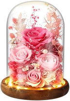 Premium Preserved Light with LED Light in Glass Dome - Long-Lasting Real Flower Gift for Women, Daughter, Mom