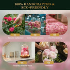 Premium Preserved Light with LED Light in Glass Dome - Long-Lasting Real Flower Gift for Women, Daughter, Mom, alternate view