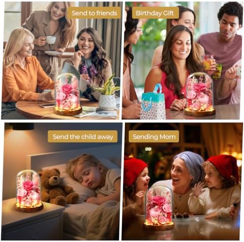 Premium Preserved Light with LED Light in Glass Dome - Long-Lasting Real Flower Gift for Women, Daughter, Mom, alternate view