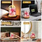 Premium Preserved Light with LED Light in Glass Dome - Long-Lasting Real Flower Gift for Women, Daughter, Mom, alternate view