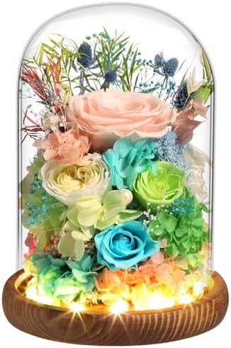 Preserved Real Roses with LED Light in Glass Dome, Perfect Long-Lasting Birthday Gifts for Women, Moms