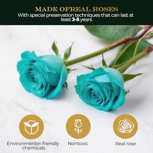 Preserved Real Roses with LED Light in Glass Dome, Perfect Long-Lasting Birthday Gifts for Women, Moms, alternate view 3