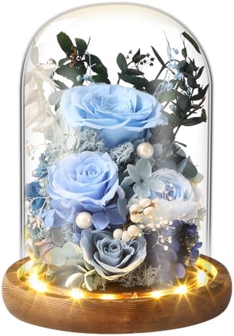 Preserved Rose in Glass Dome - Long-Lasting Flower Gift for Her | Perfect for Birthdays, Mother’s Day, and