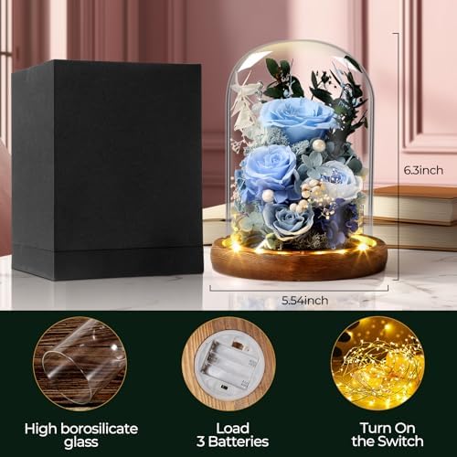 Preserved Rose in Glass Dome - Long-Lasting Flower Gift for Her | Perfect for Birthdays, Mother’s Day, and, alternate view 5