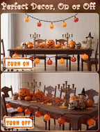 Pumpkin String Lights, 8.5FT 10 LED Plug in Yard Porch Light, alternate view 4