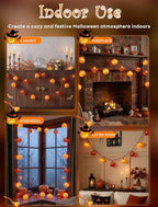 Pumpkin String Lights, 8.5FT 10 LED Plug in Yard Porch Light, alternate view 6